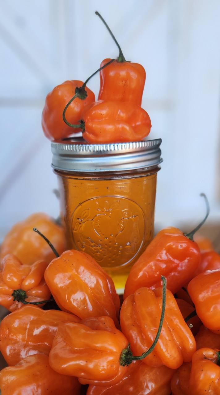 habanero honey