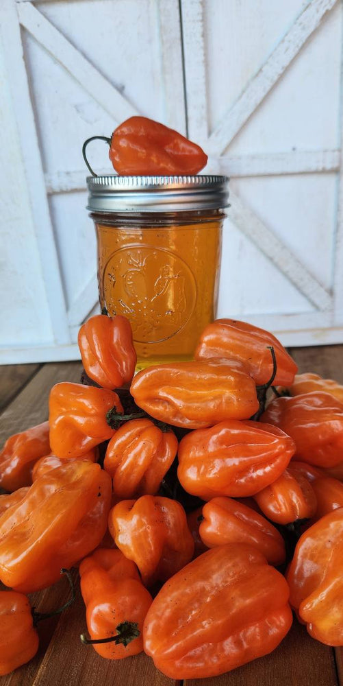 habanero honey