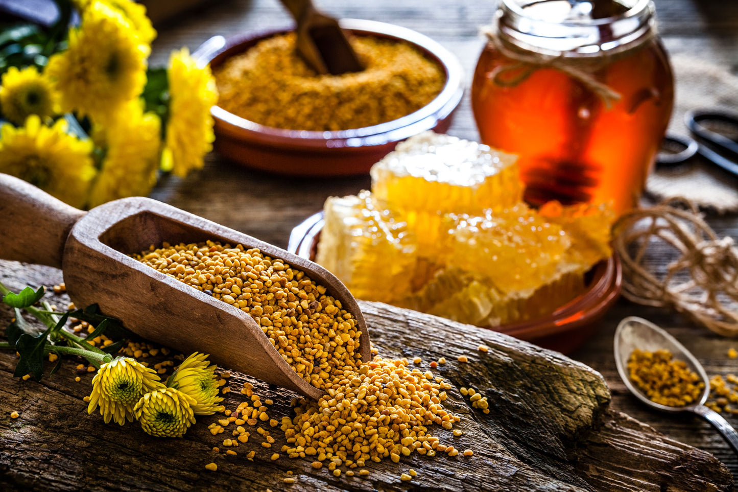 POLYFLORAL BEE POLLEN - Best Bee Products