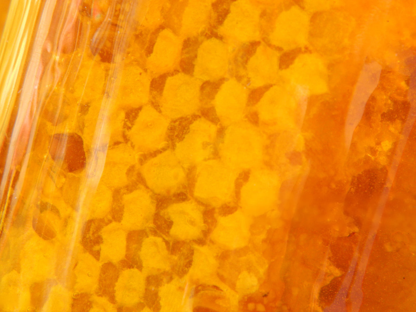 
                  
                    HONEYCOMB IN HONEY - Best Bee Products
                  
                