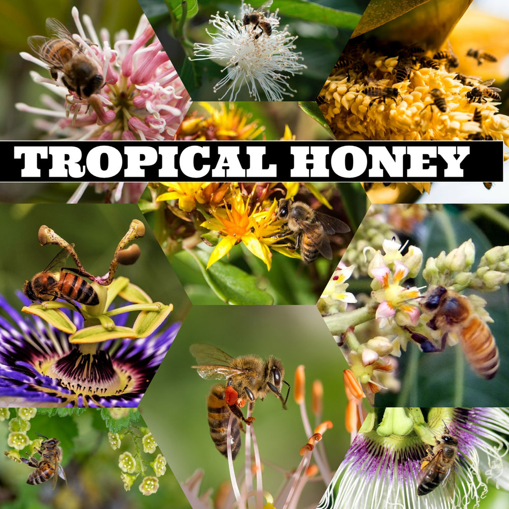 TROPICAL HONEY - Best Bee Products