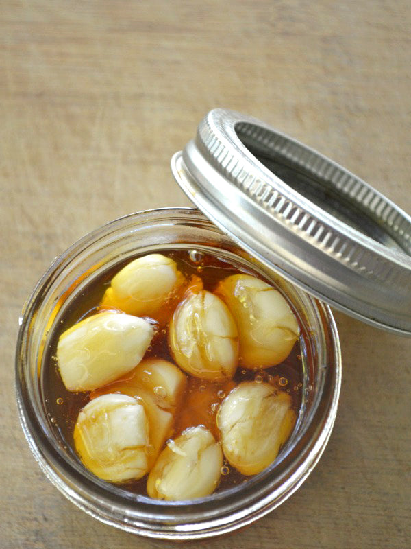 GARLIC INFUSED HONEY - Best Bee Products