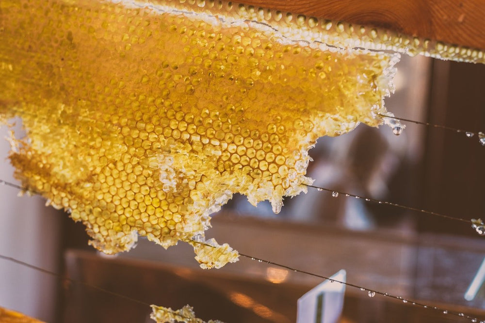 
                  
                    HONEYCOMB - Best Bee Products
                  
                