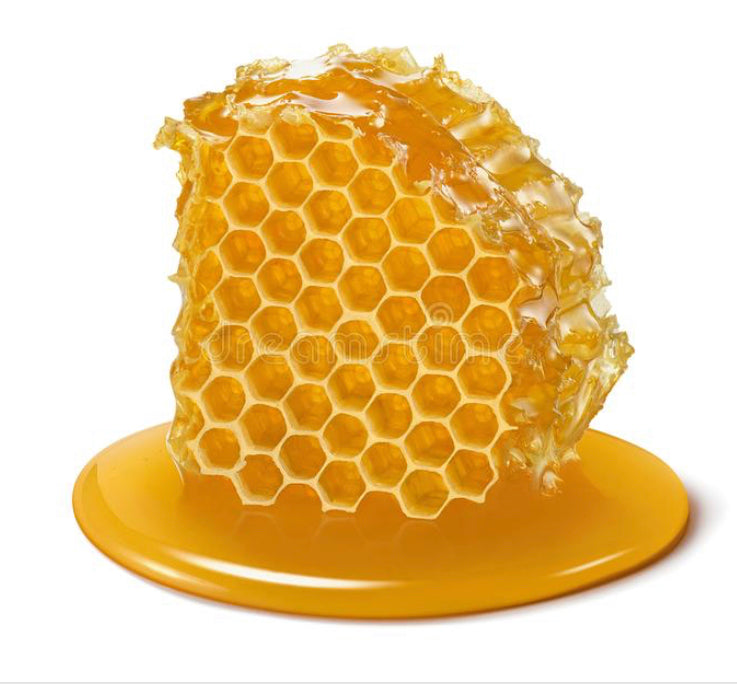 
                  
                    HONEYCOMB - Best Bee Products
                  
                