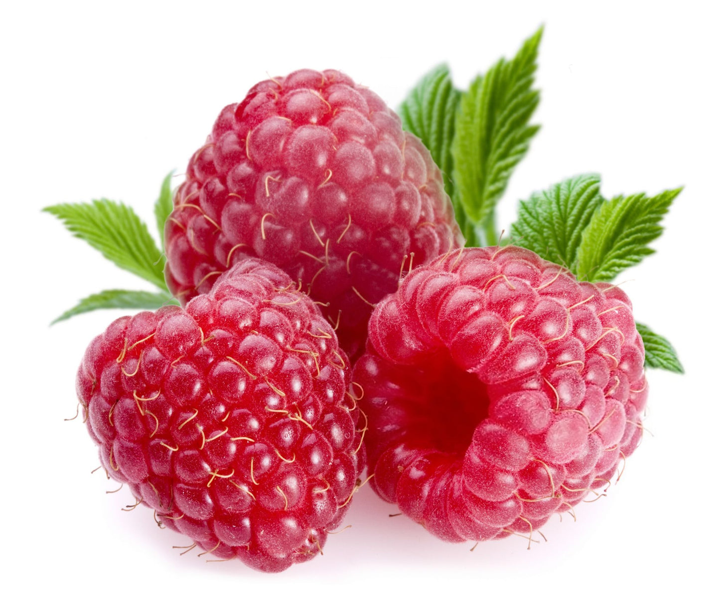 RASPBERRY HONEY - Best Bee Products